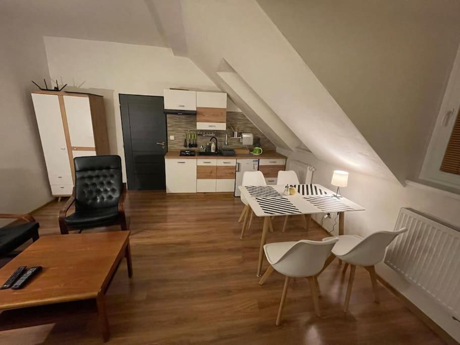 Francis Apartment - Lazenske Centrum Karlovy Vary Exterior photo